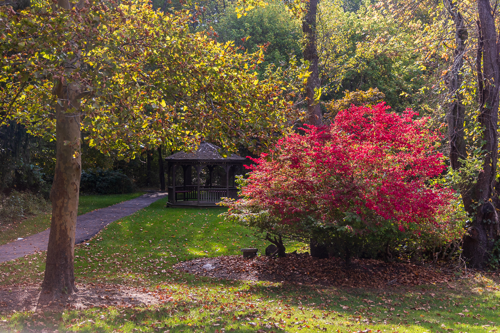 Conference Center Gazebo - click to view photo gallery
