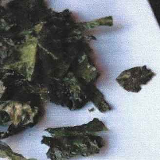 Baked Kale Chips