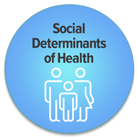 Social Determinants of Health button